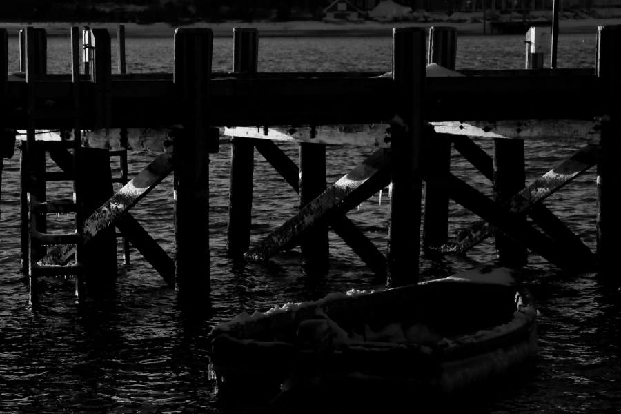 2011 01 14 IMG 17382ebw